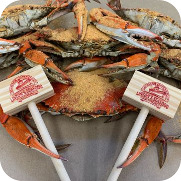 Medium Male Blue Crabs (2 Dozen Special)